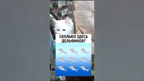 Встраиваемый холодильник Грюндиг Grundig GKNI 25722 F No Frost А++